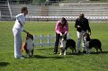 IMG_2249