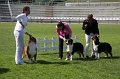 IMG_2250