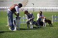 IMG_2252