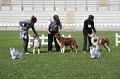 IMG_2257