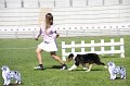 IMG_0090