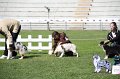IMG_0105