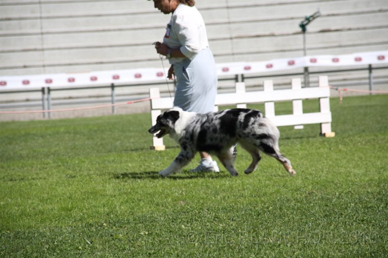 IMG_1636.JPG