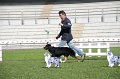 IMG_1619