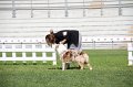 IMG_1626