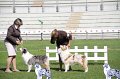IMG_1630