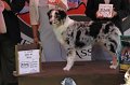 IMG_1687