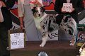 IMG_1689