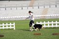 IMG_1457