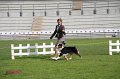 IMG_1461