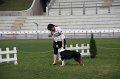 IMG_1479