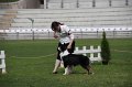 IMG_1480