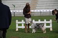IMG_1491