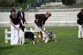 IMG_1516
