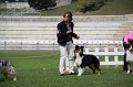 IMG_1517