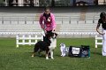 IMG_1532
