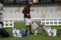 IMG_1554