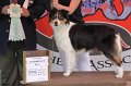 IMG_1581