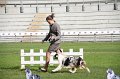 IMG_1331