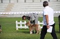 IMG_1335