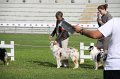 IMG_1348