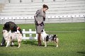 IMG_1350