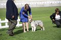 IMG_1355
