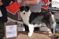 IMG_1410