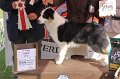 IMG_1425