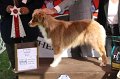 IMG_1448