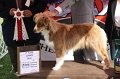 IMG_1452