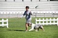 IMG_1704