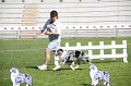 IMG_1708