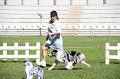 IMG_1709
