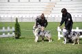 IMG_1713