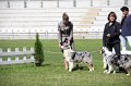 IMG_1722