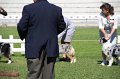 IMG_1724