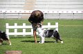 IMG_1728