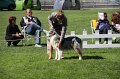 IMG_1729