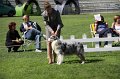 IMG_1734