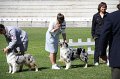IMG_1744