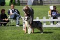 IMG_1745