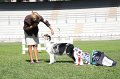 IMG_1753