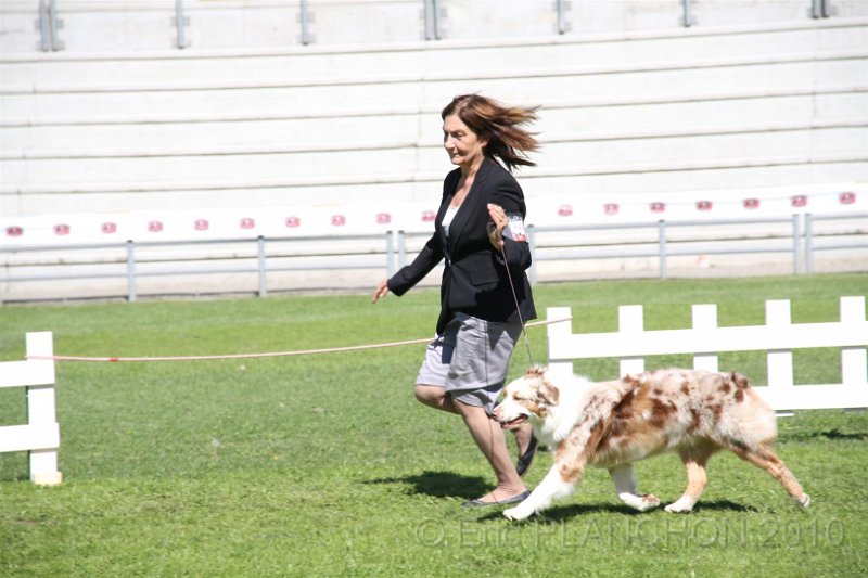 IMG_1913.JPG