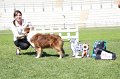 IMG_2018