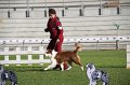 IMG_1173