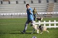 IMG_1188