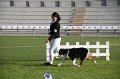 IMG_1191