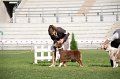 IMG_1198