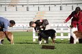 IMG_1203
